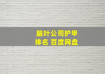 脑叶公司护甲排名 百度网盘